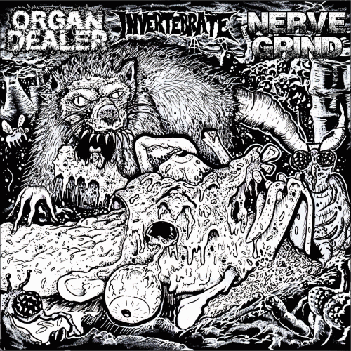 Organ Dealer : Organ Dealer - Nerve Grind - Invertebrate Organ Dealer : Organ Dealer - Nerve Grind - Invertebrate